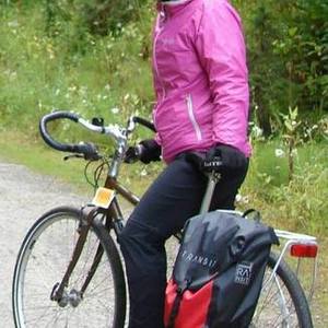 2014 REI Safari Novara, commuting/touring bike Brown, White, and Green