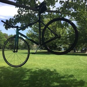 2016 State Bicycle Co. Undefeated II Green