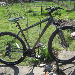 Raleigh Talus Blue and Green