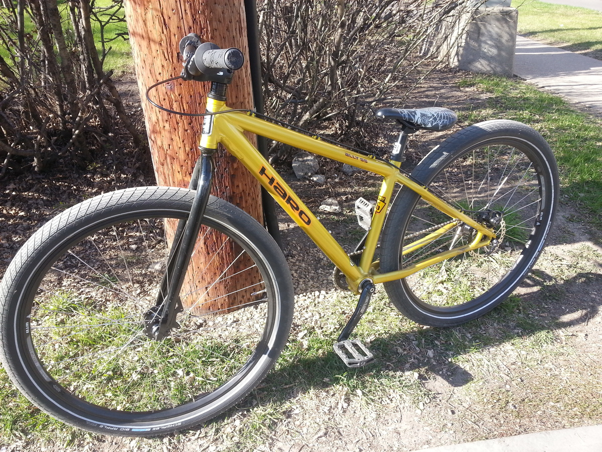 Bike photo
