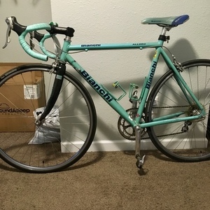 Bianchi Alloro Teal
