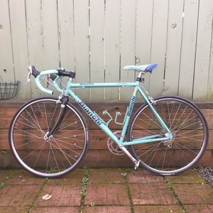 Bianchi Alloro Teal