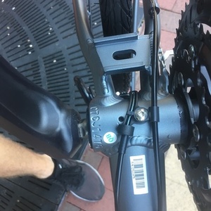 2018 Giant escape Silver, gray or bare metal and Red