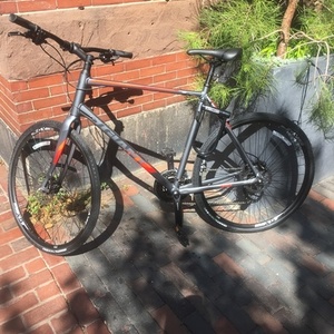 2018 Giant escape Silver, gray or bare metal and Red