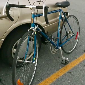 Trek Blue