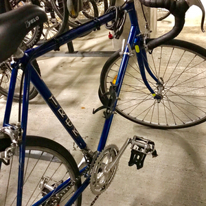 Trek Blue