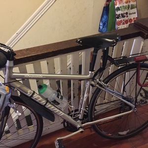 2008 Specialized Sequoia Silver, gray or bare metal