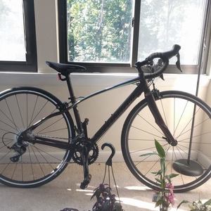 2019 Specialized Dolce Purple