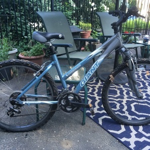 2005 Giant Aluxx Silver, gray or bare metal and Blue