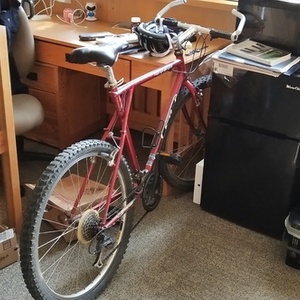 GT Bicycles M+B Red
