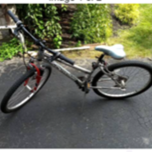 2003 Schwinn Silver, gray or bare metal