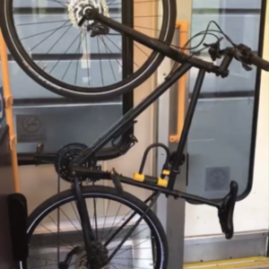 2017 Marin Bikes Muirwoods 29er Black