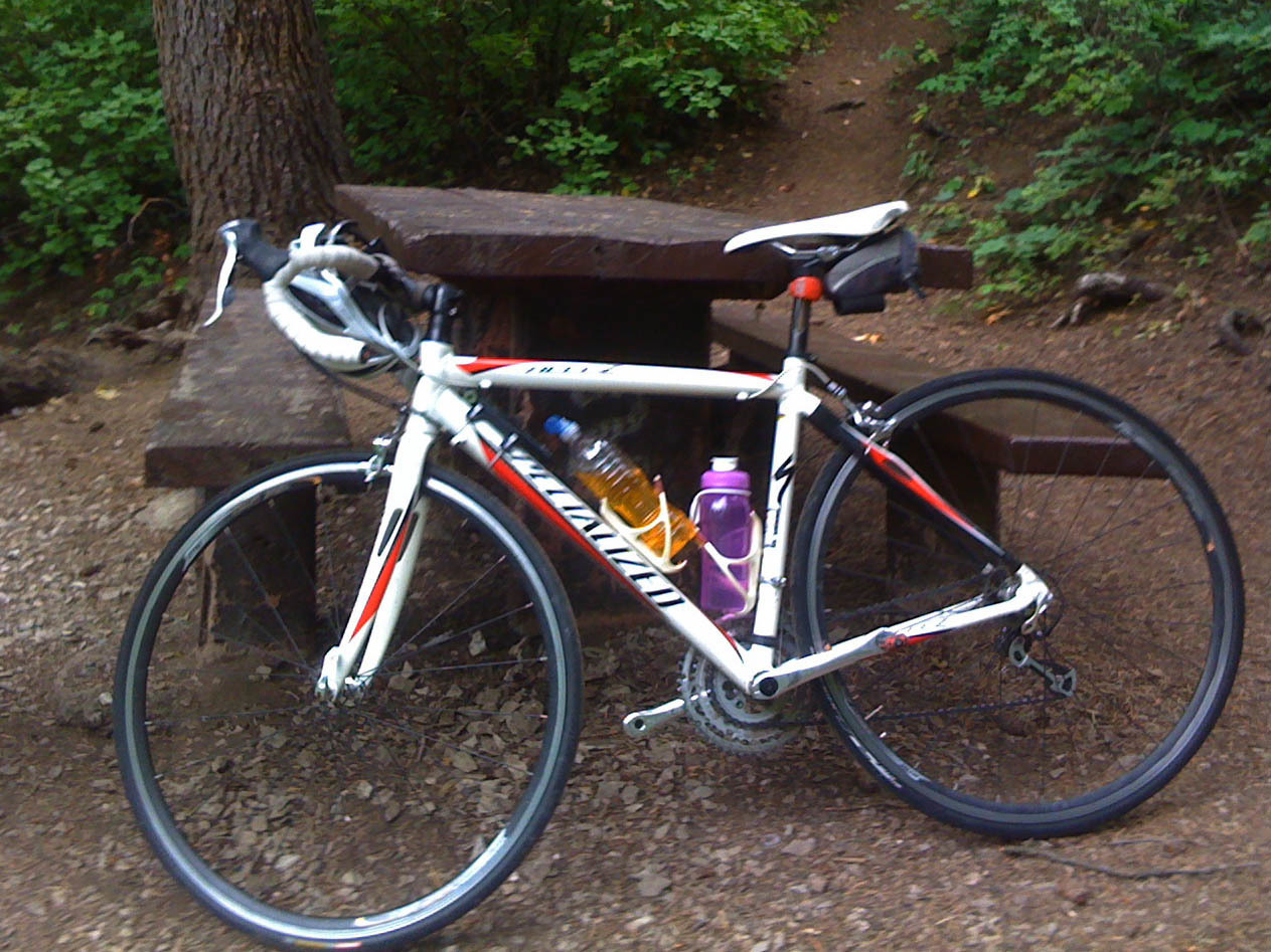 Stolen 2007 Specialized Allez Elite stolen-2007-specialized-allez-elite
