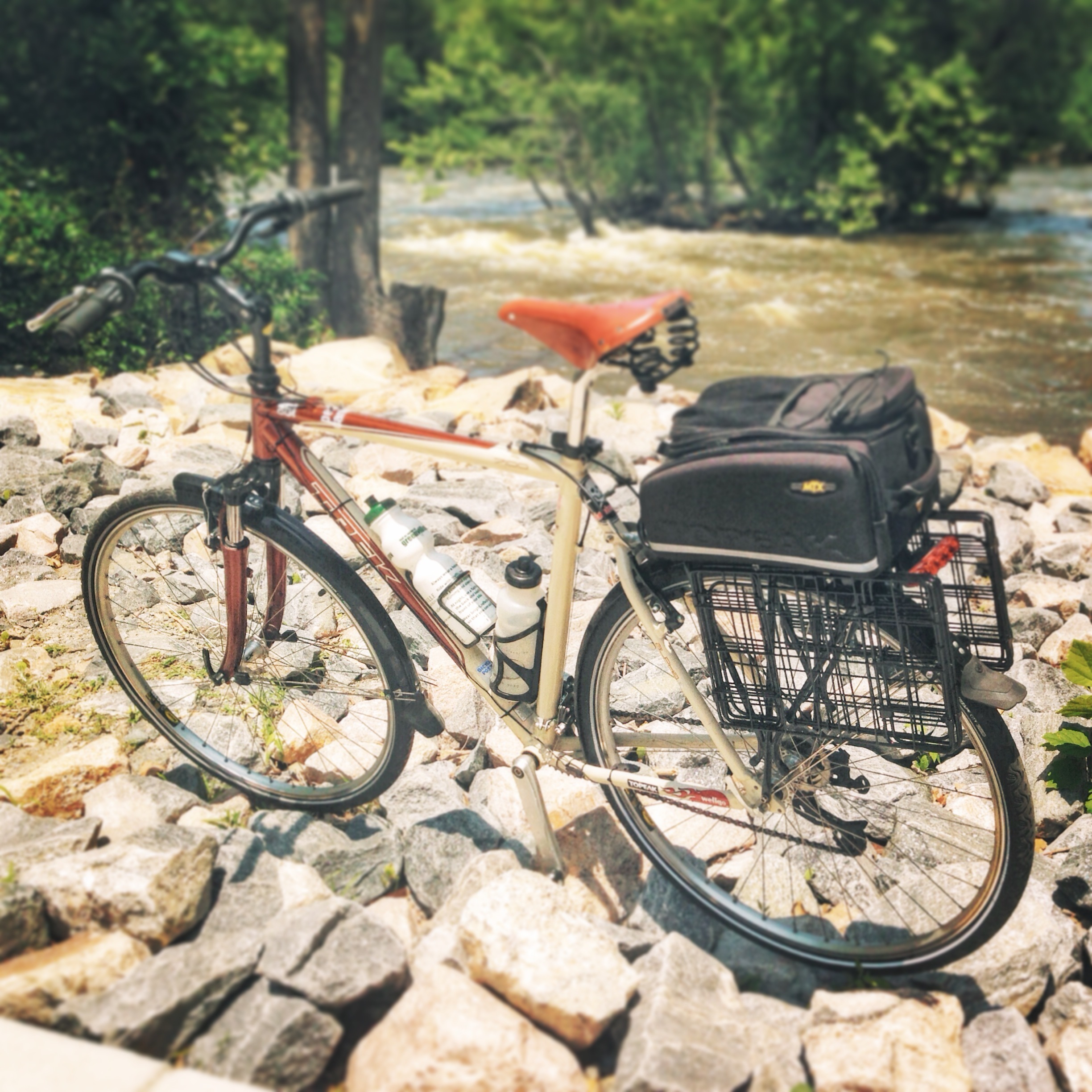 2010 Trek 7100
