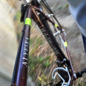 1985 Raleigh Aleyeska Red