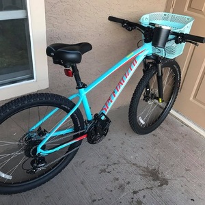 2018 Specialized Teal