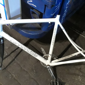 2015 Cannondale Sport synapse White