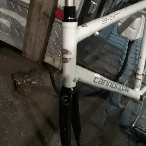 2015 Cannondale Sport synapse White