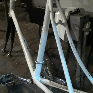 2015 Cannondale Sport synapse White