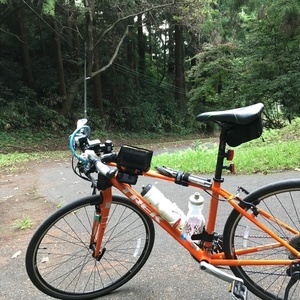 2015 Trek FX 7.4 Orange