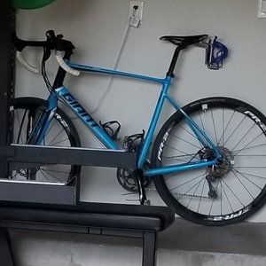 2016 Giant DEY 1 DISC (Compact) Large Blue, Black, and White