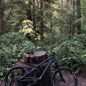 2018 Canyon bicycles Strive CF 7.0 Black
