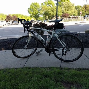 2011 Specialized Tricross Comp White and Black