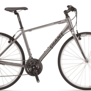Giant Escape 2 Silver, gray or bare metal