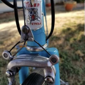 Tiger Cycle http://cyclethru.blogspot.com/2012/12/tiger-c... very old (looks like antique, refurb...