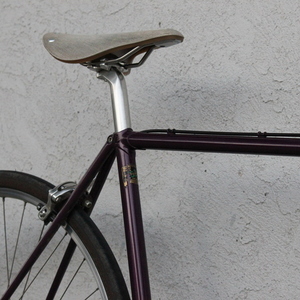 Ed Litton frame, cutstom build Ed Litton Purple