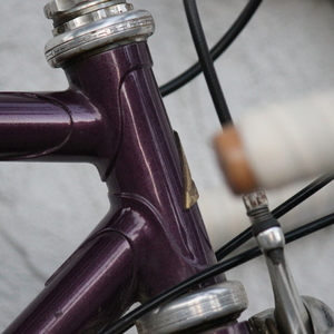 Ed Litton frame, cutstom build Ed Litton Purple