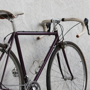 Ed Litton frame, cutstom build Ed Litton Purple