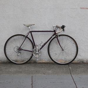 Ed Litton frame, cutstom build Ed Litton Purple
