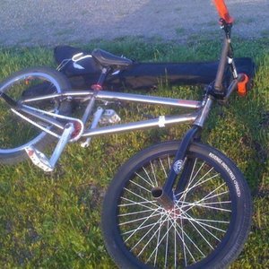 2011 S and M LTF  Brown, Black, and White