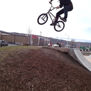 2011 S and M LTF  Brown, Black, and White