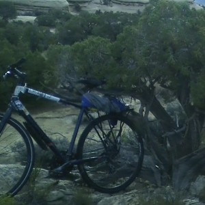 2017 Specialized Sirrus Disc Blue, Black, and Red