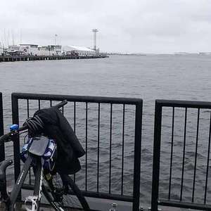 2018 Trek Dual Sport 2 Black