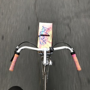 1983 Schwinn Yellow or Gold
