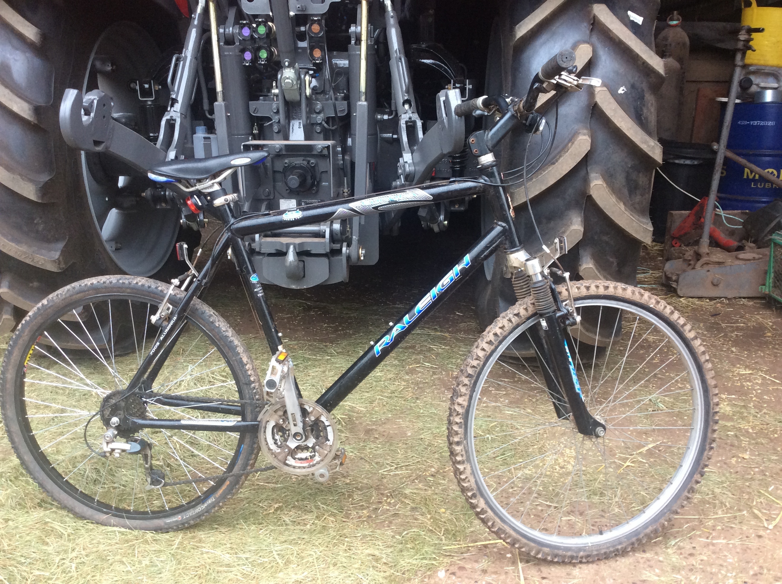 raleigh training wheels