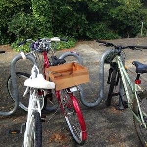 2010 Globe Daily 1 Step Thru