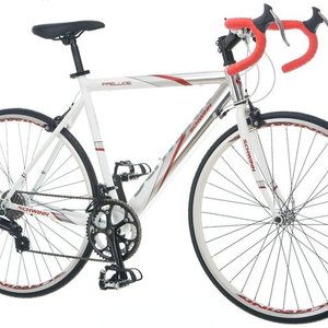 Schwinn Prelude  White and Silver or Gray