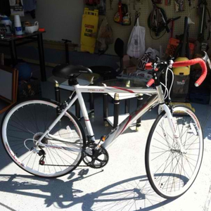 Schwinn Prelude  White and Silver or Gray