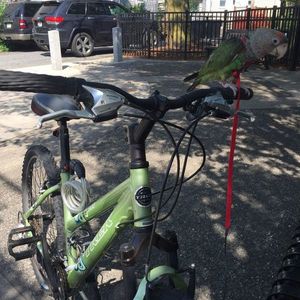 2006 Trek 3900 Green