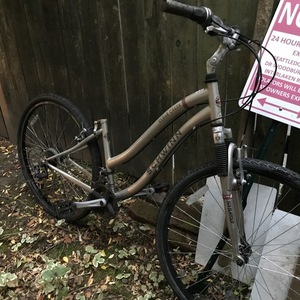 Schwinn Clear Creek Silver, gray or bare metal