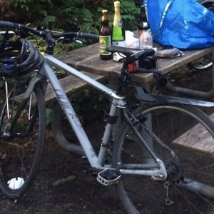 2009 Cannondale Quick  Silver or Gray