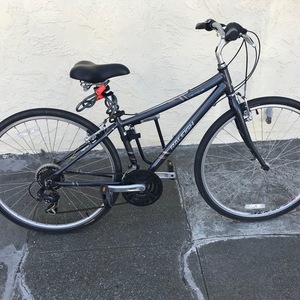 Raleigh Detour Silver, gray or bare metal