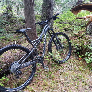 2015 Specialized Stumpjumper Black