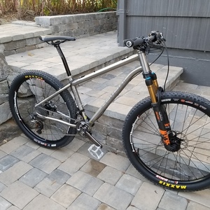 2018 Seven Cycles Sola SLX Silver, gray or bare metal