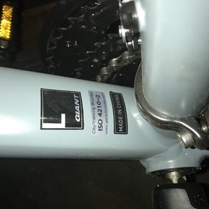 2018 Giant ROAM Silver, gray or bare metal