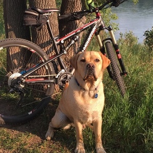 Rocky Mountain Bicycles Thunderbolt Black